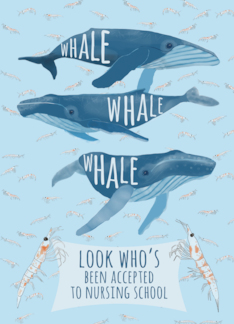 Funny Whale Pun Congratulations on Acceptance to Nursing School