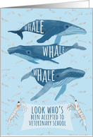 Funny Whale Pun Congratulations on Acceptance to Veterinary school. card