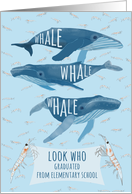 Funny Whale Pun Congratulations on Elementary School Graduation card