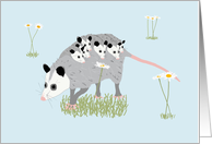 Opossum Mother’s Day card