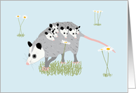 Opossum Mother’s Day from Six Children card