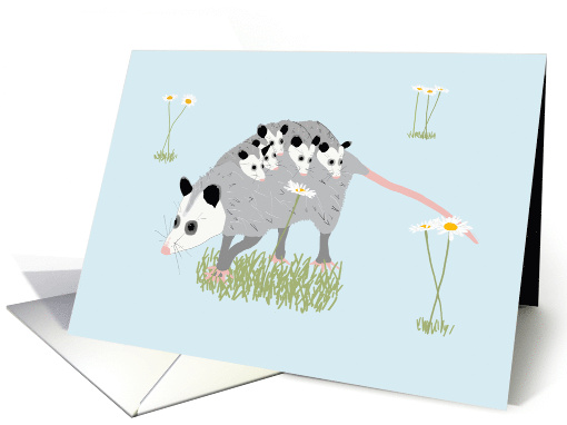 Opossum Carrying Joeys Thank You Teacher card (1679212)