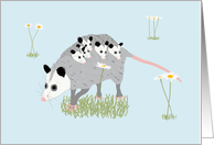 Opossum Child Care Provider Appreciation Day card