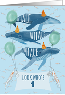 Funny Whale Pun 1st...