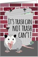 Funny Opossum Encouragement card