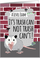 Funny Opossum Good Luck on A Level Exam card