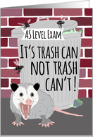 Funny Opossum Good Luck on AS Level Exam card