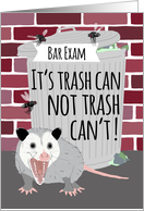 Funny Opossum Good Luck on Bar Exam card