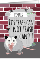 Funny Opossum Good Luck on Finals card