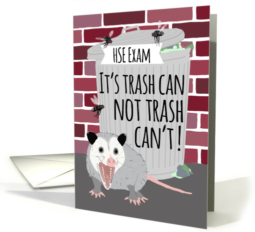 Funny Opossum Good Luck on the HSE Exam card (1688678)