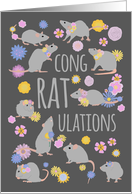 Rats and Flowers Congratulations card
