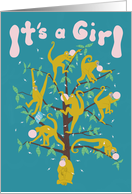 Spider Monkeys Monkey It’s a Girl card