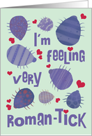 Funny and Romantic Insect Valentine card