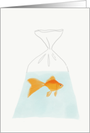 Goldfish in a Bag Congratulations card