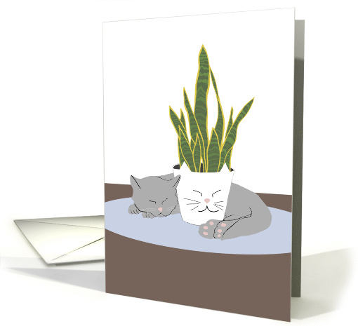 Cat Napping with Plant Blank card (1756054)