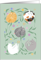 Cats Napping in Flower Garden Blank card