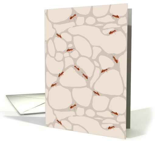 Ants in Habitat Blank card (1779286)