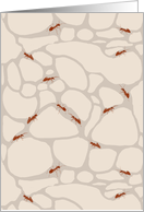 Ants in Habitat Blank card