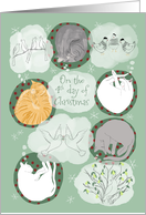 Cats Dreaming About Christmas Birds card