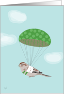 Parachuting Bird...