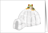 Missing You, Lost Without You - Frog on Igloo card