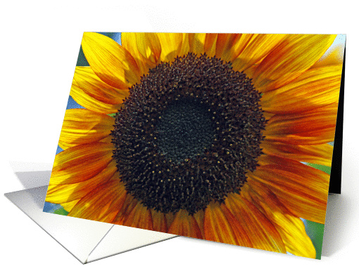 Sunflower Bright Beautiful Cheerful card (974053)