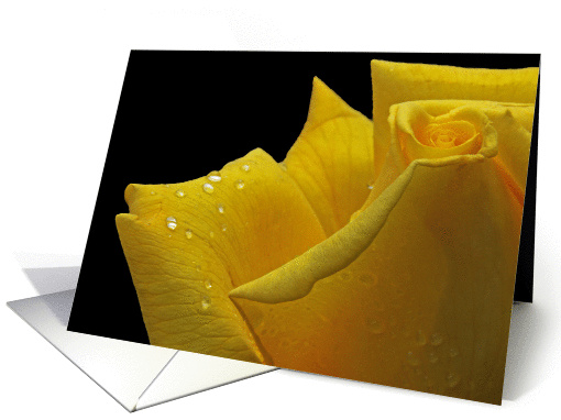 Rose Yellow Dew Glisten Beautiful Friendship Love card (974147)