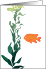 Garibaldi fish note card