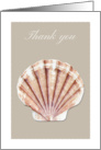 Thank you card with fan seashell card