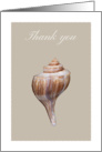 Thank you card with whelk seashell, blank inside card