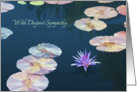 Sympathy card with water lily pond and lotus card