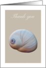 Thank you card with blue moon seashell, blank inside card