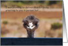 Birthday greetings from the emu card