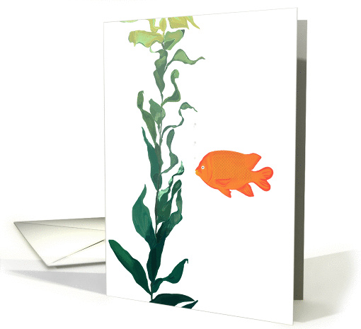 Garibaldi fish note card (1061883)