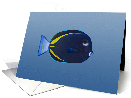 Fish Note card (1061889)
