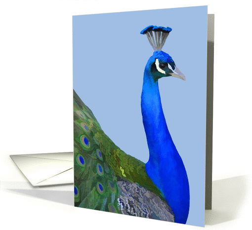 Peacock Note card (1061899)