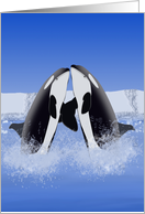 Orcas in love card