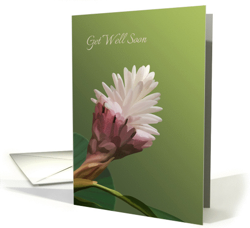 Get well card with white hawaiian tropical flower card (974693)