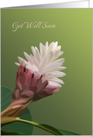 Get well card with...