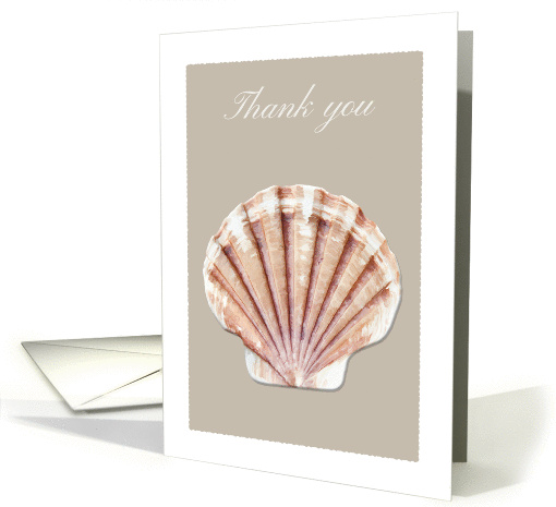 Thank you card with fan seashell card (974695)