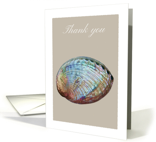 Thank you,abalone shell, blank note card (974697)
