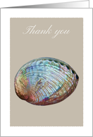 Thank you,abalone shell, blank note card