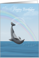 Happy birthday with dolphin leaping for joy and a rainbow card