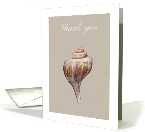 Thank you card with whelk seashell, blank inside card (974709)