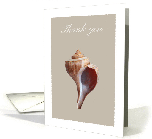 Thank you card with whelk seashell, blank inside card (974711)