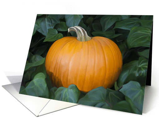 Happy Thanksgiving with pumpkin and ivy card (975001)