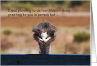 Birthday greetings from the emu card