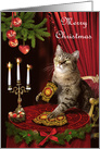 Merry Christmas Cat Tarot Reader Card