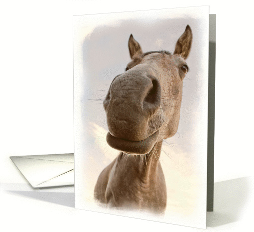 Friendly Horse to say Hello card (981451)