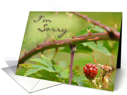 I'm sorry-I didn't mean to be so prickly. card (985321)